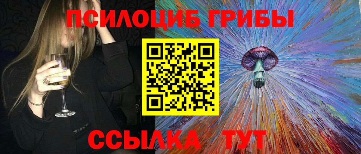 Осинники  Псилоцибиновые грибы прущие грибы  где купить наркоту  Вход с VPN 